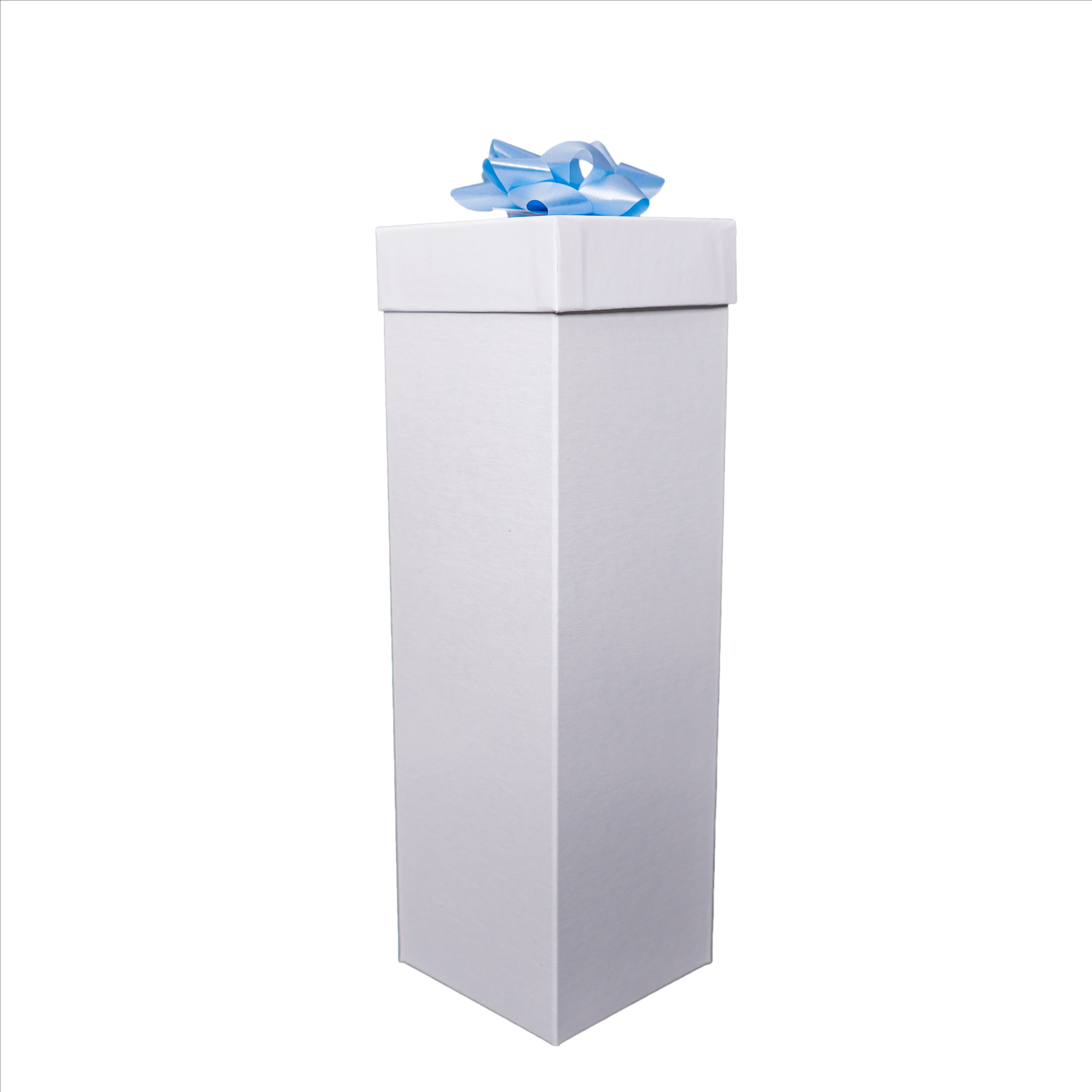 Bird Feeder | 750ml Wine Bottle